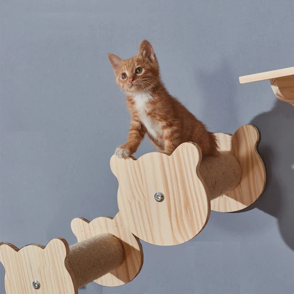 Cat Climbing Walls