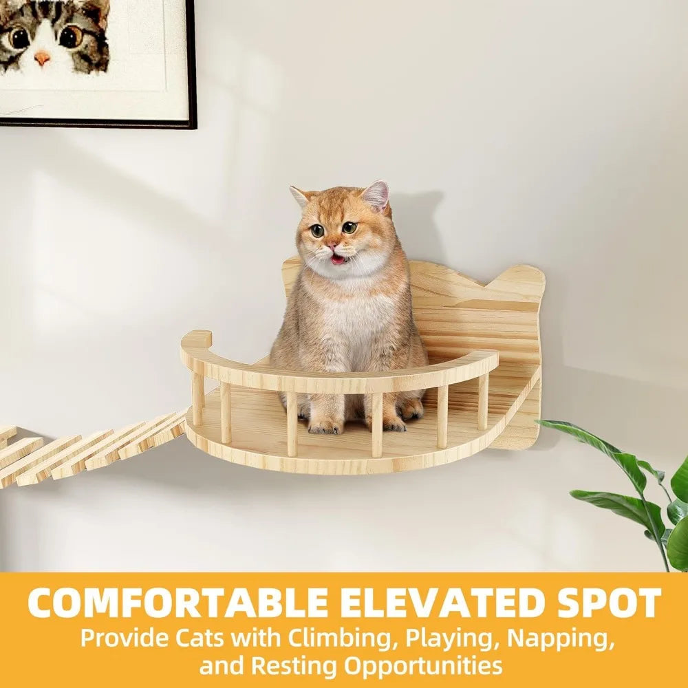 Cat perched on an elevated spot of the climbing wall, enjoying a secure and comfortable space.