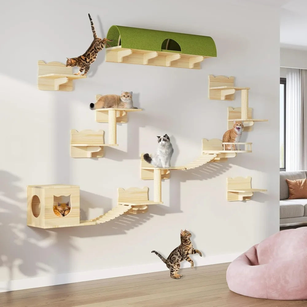 Multiple cats enjoying a climbing wall in a living room setup, featuring platforms, tunnels, and bridges.