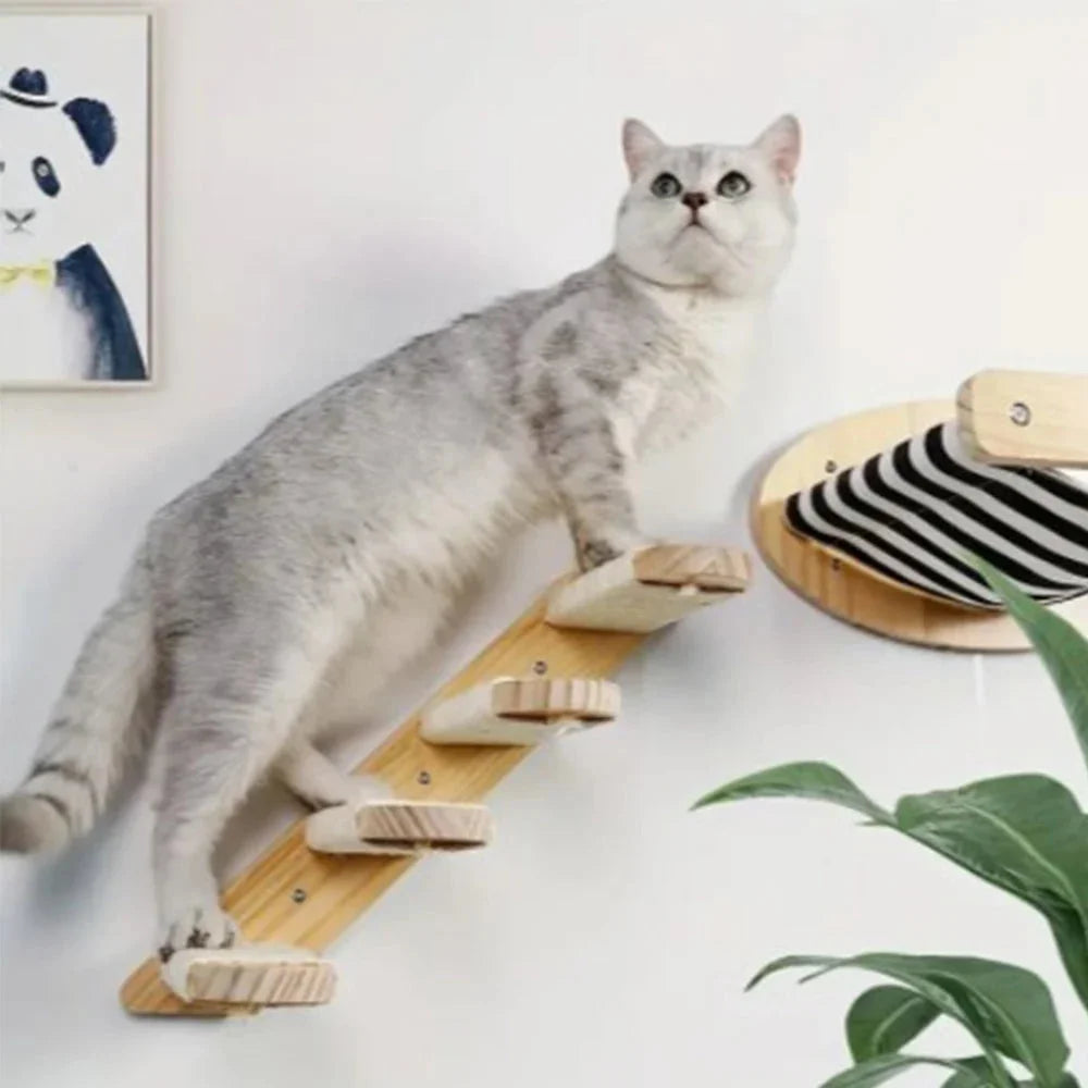 Cat climbing a wall-mounted wooden ladder with a nearby striped hammock