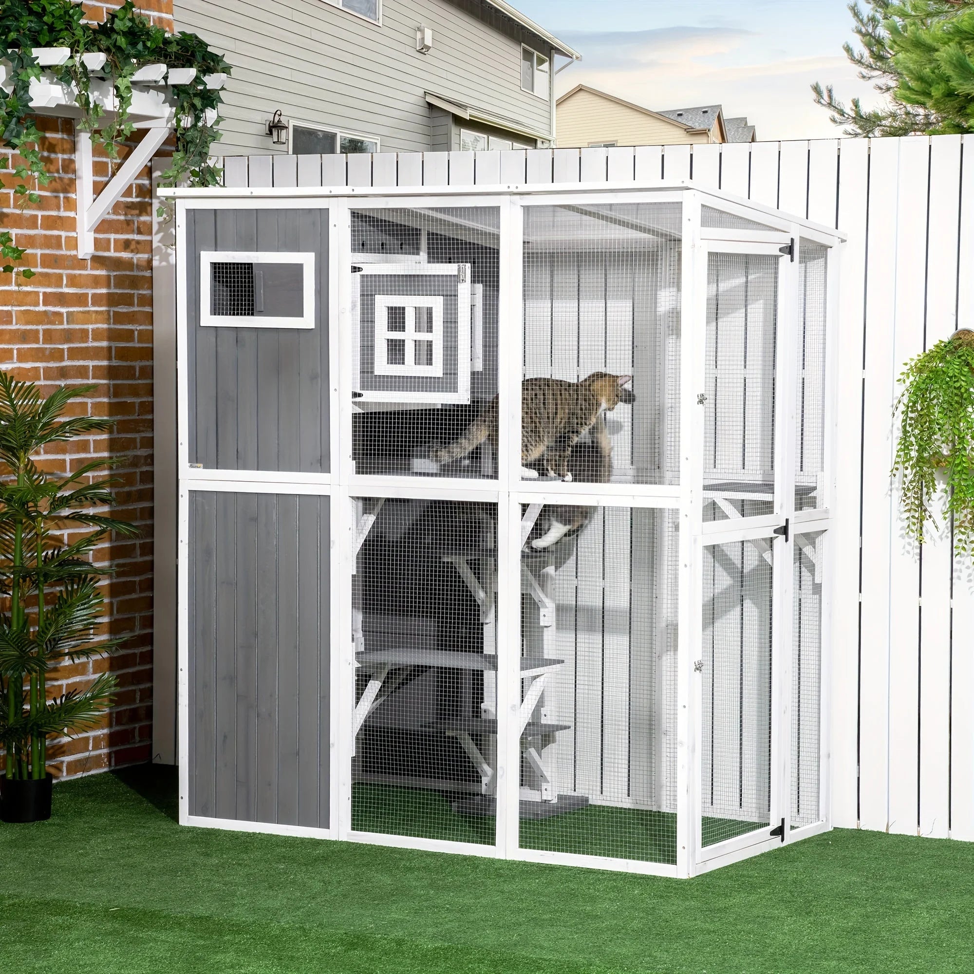 Cats playing inside a secure outdoor cage enclosure with climbing platforms and windows.