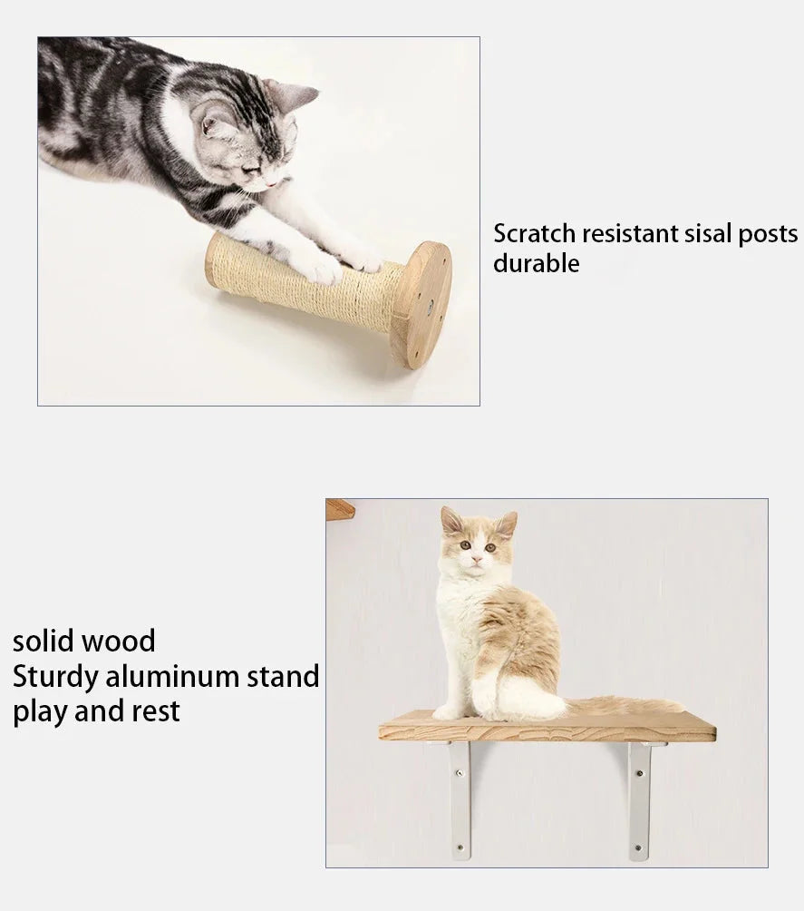 Wall Mounted Cat Furniture