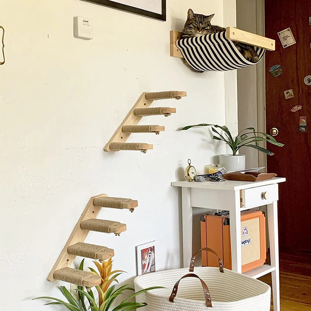 Cat wall climb setup with stairs and hammock for active play.