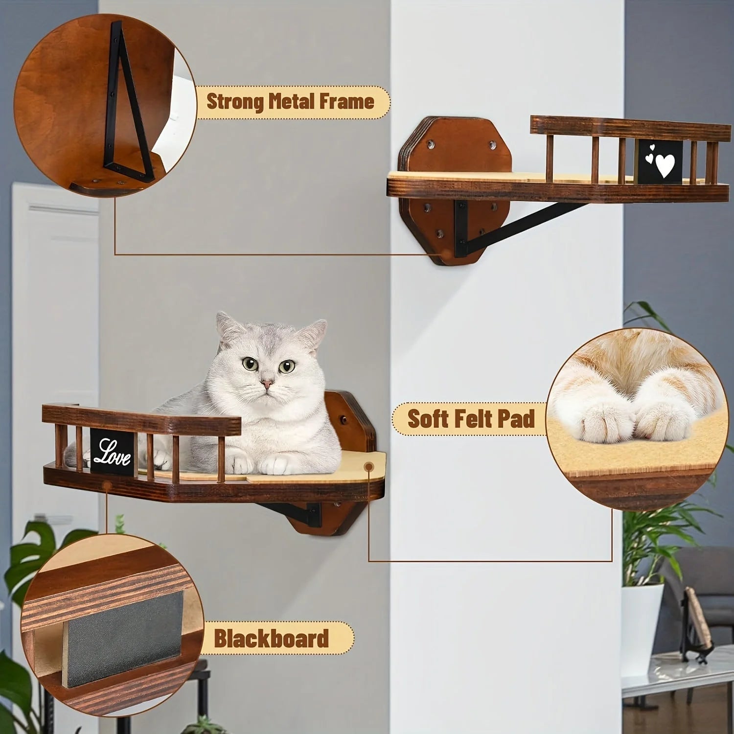 Cat Wall Climbing Systems