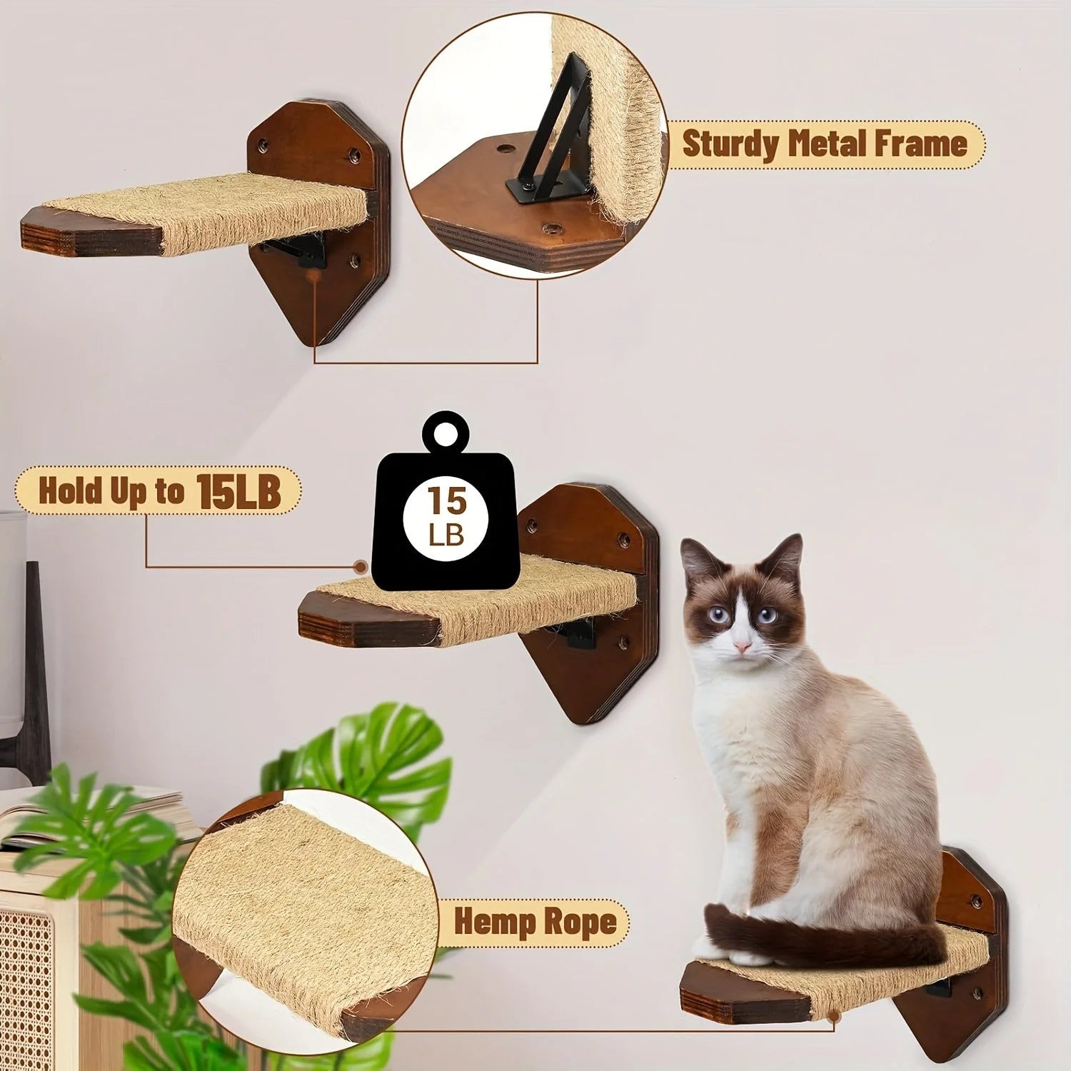 Cat Wall Climbing Systems