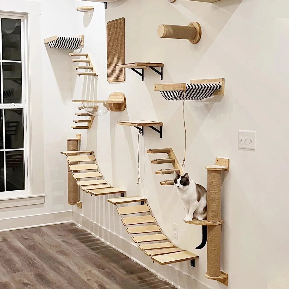 Cat Wall Shelves Diy