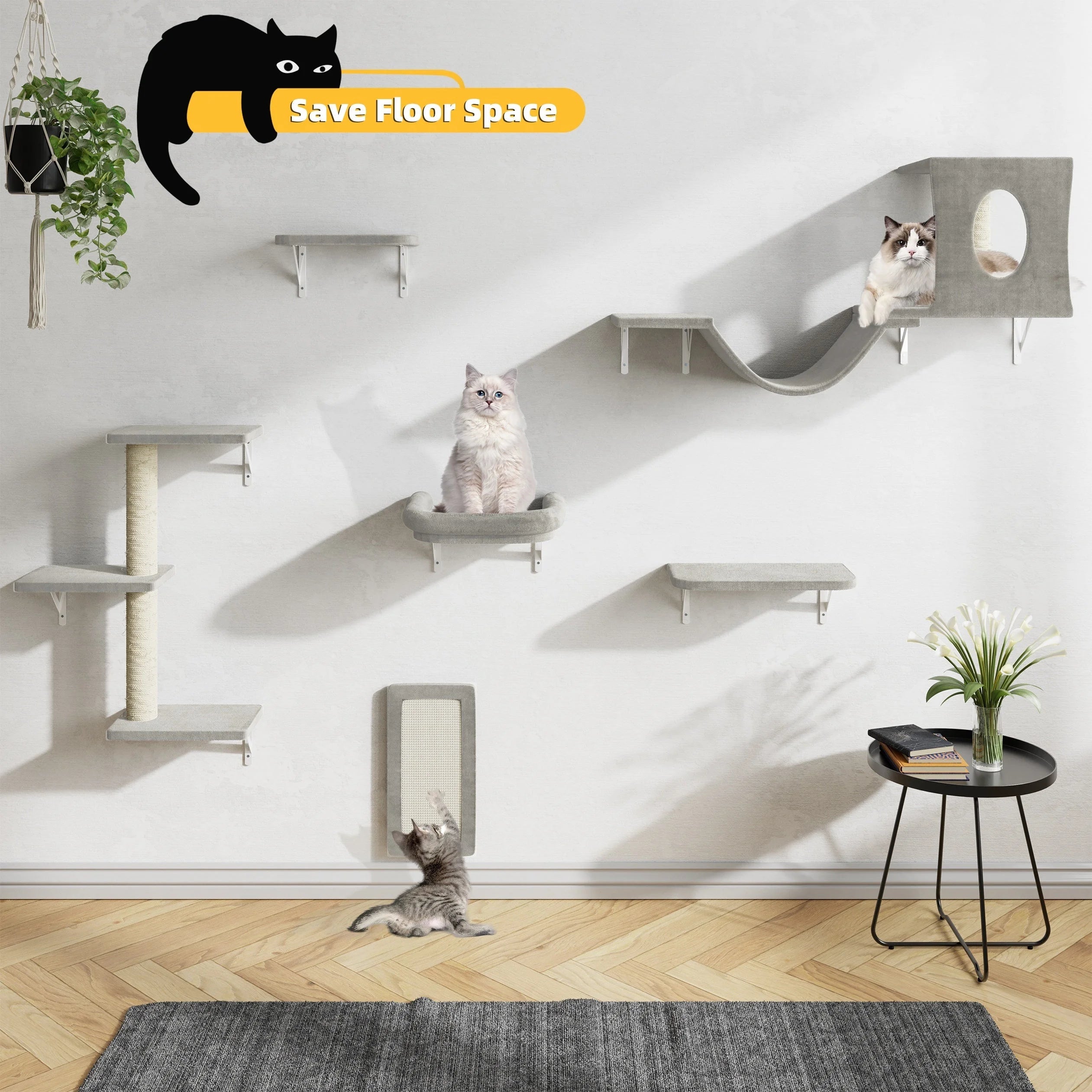 Cat Wall Stairs