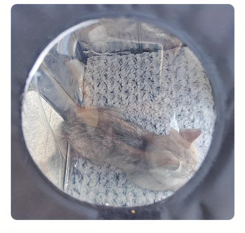 View from the skylight window of an outdoor cat house for winter, showcasing a cat resting on soft velvet material