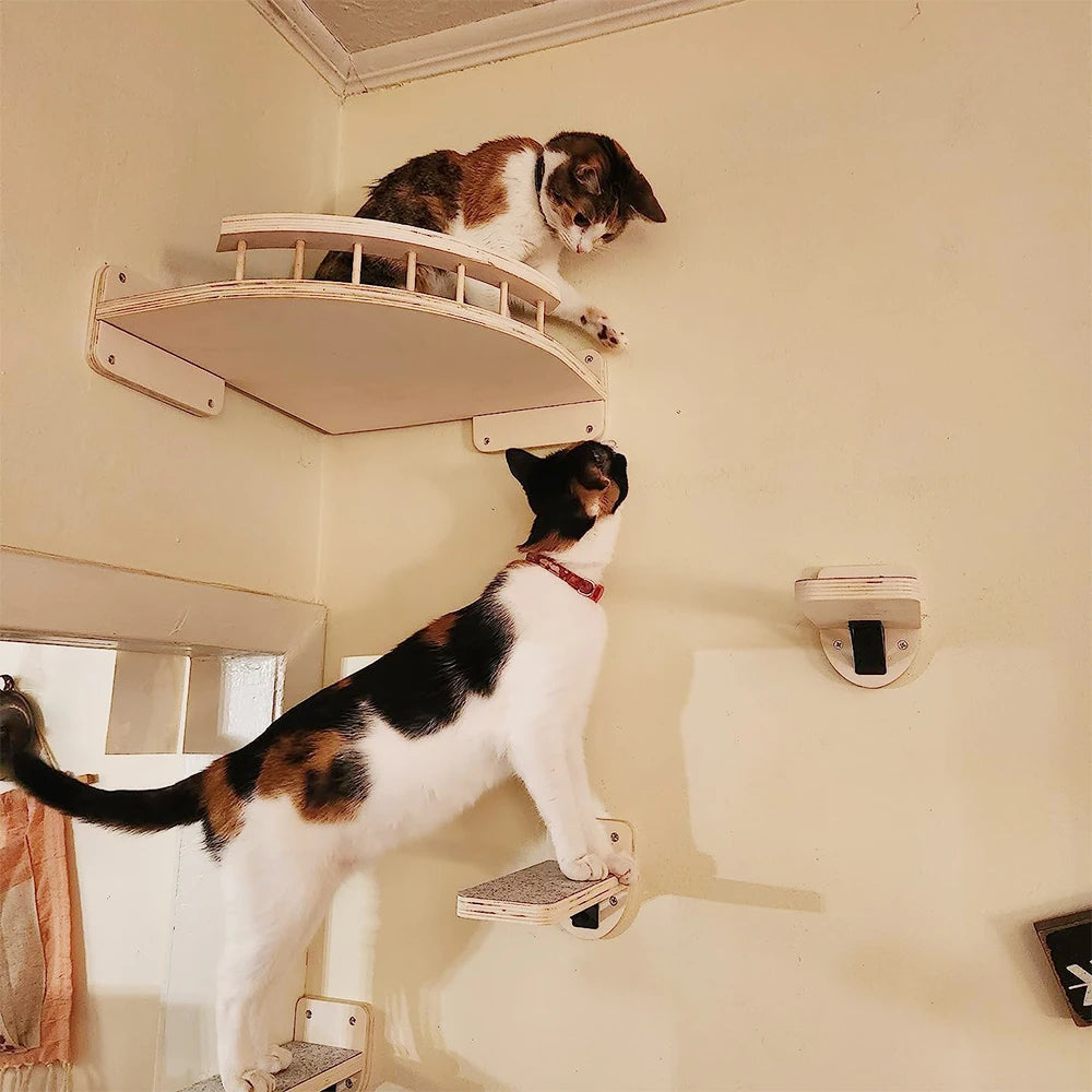 Two cats climbing and playing on a wall-mounted wall climb setup