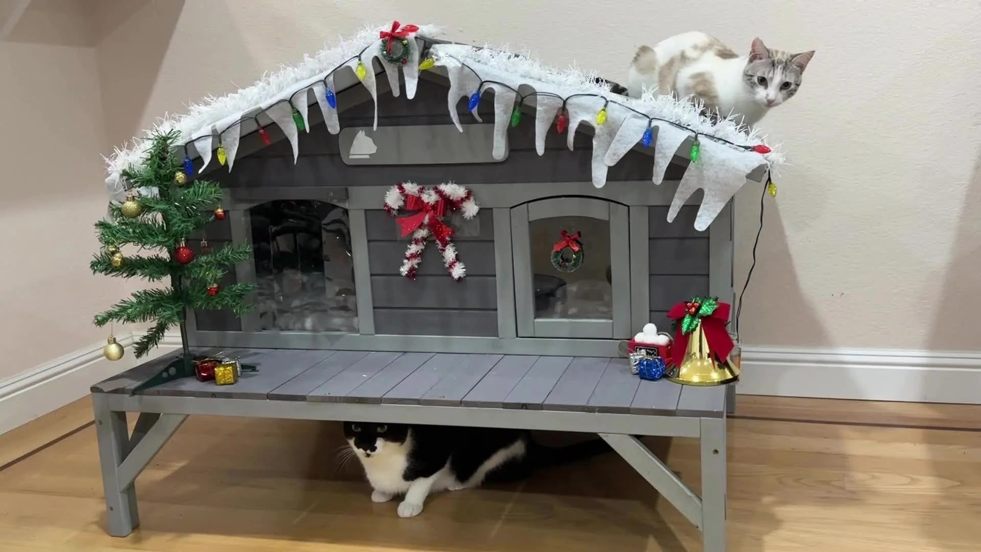 Heated cat house for outdoor cats decorated for Christmas with festive ornaments and cats enjoying the cozy shelter.