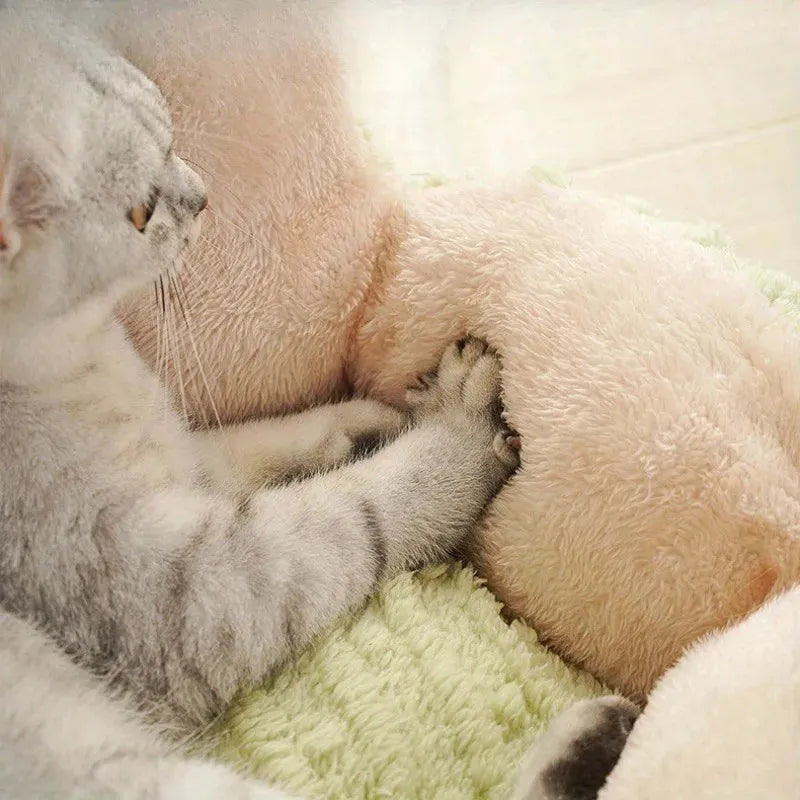 Close-up view of a cat kneading on plush pink and green bedding for cats, showcasing its softness