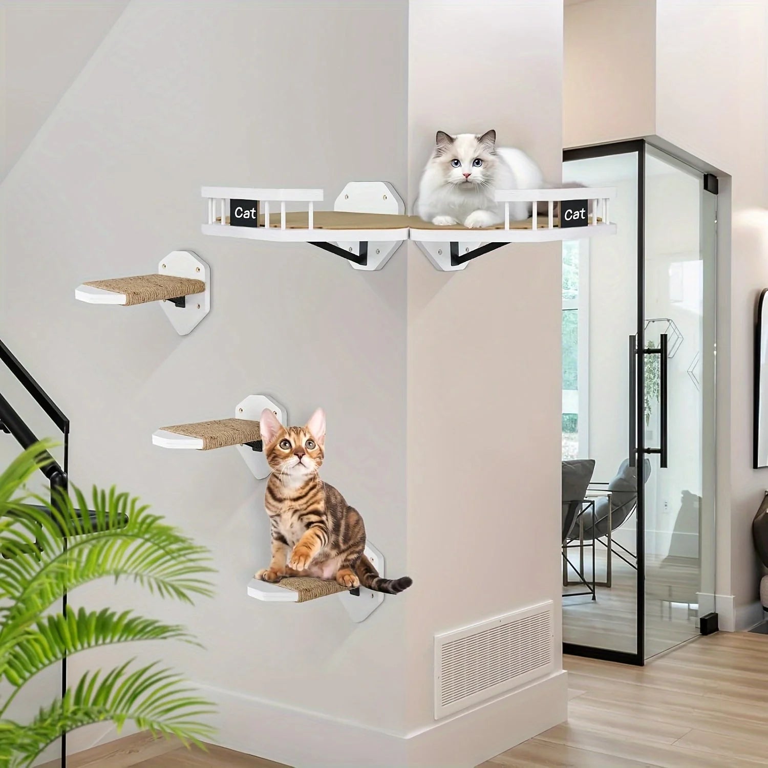 Cat Wall Climbing Systems