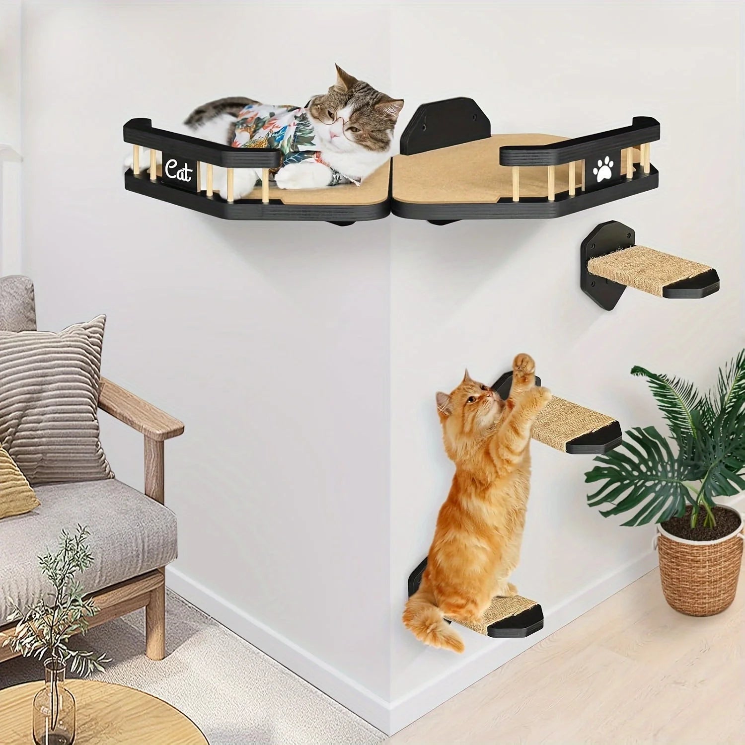 Cat Wall Climbing Systems