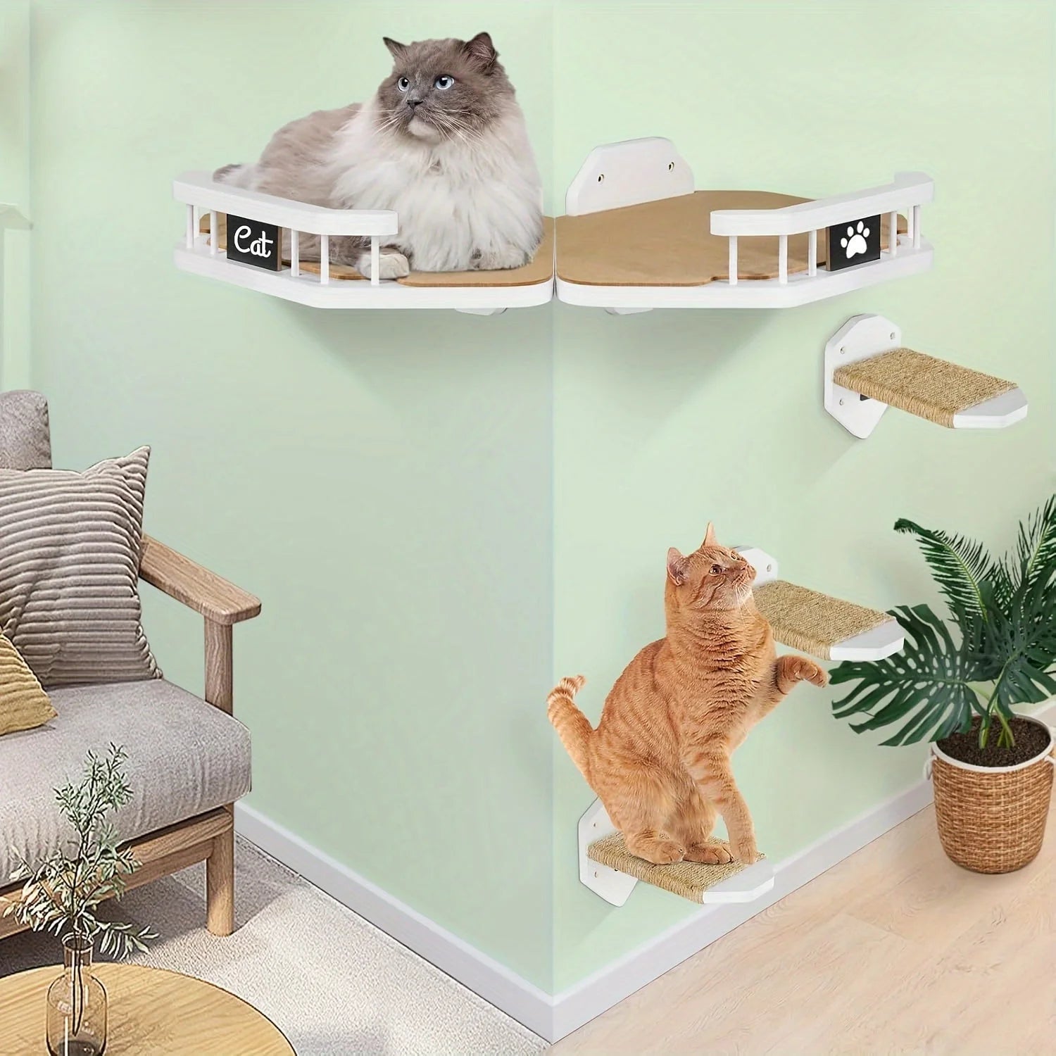 Cat Wall Climbing Systems