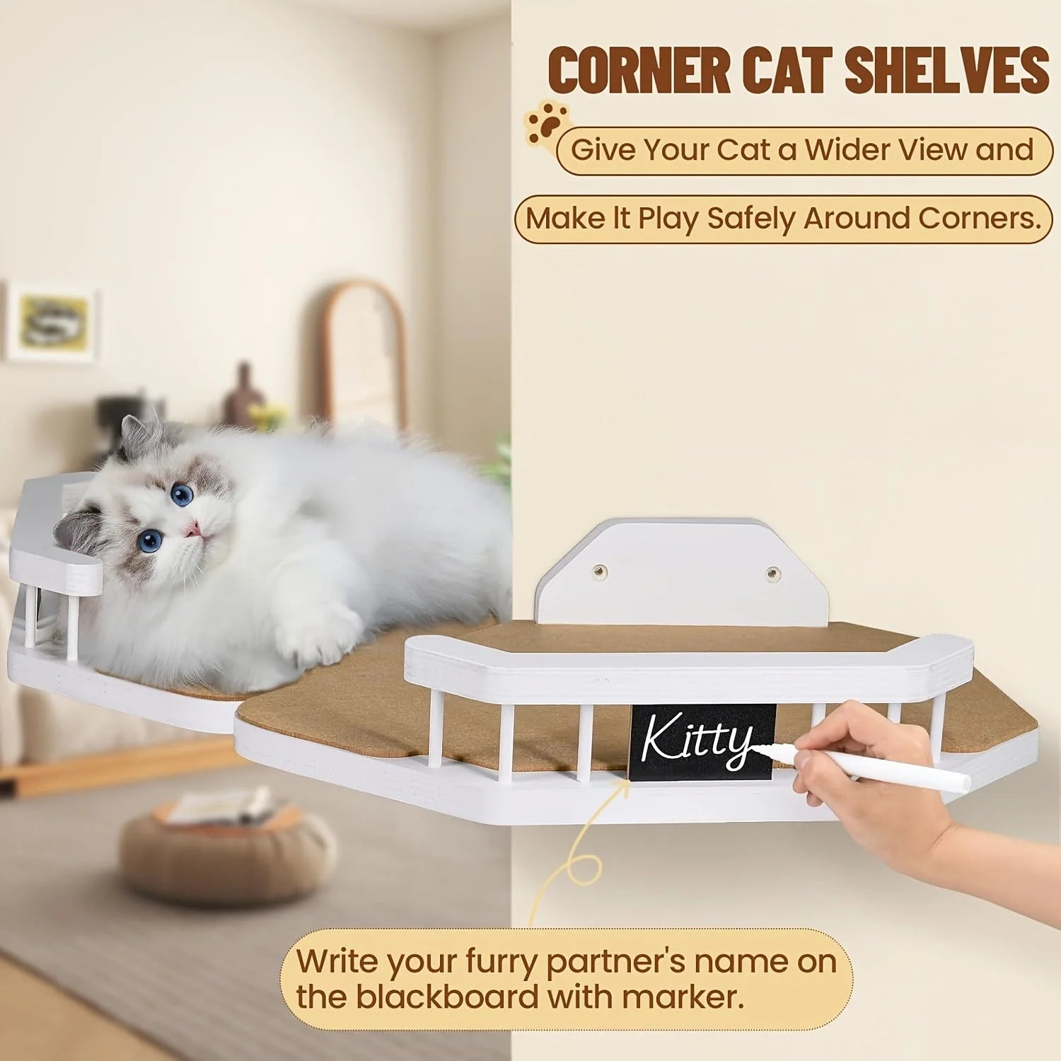 Cat Wall Climbing Systems