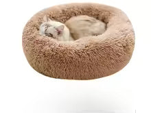 Cute Cat Beds