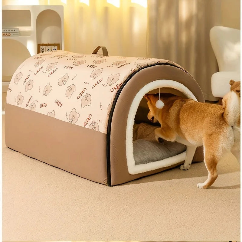 Dog exploring a spacious heated cat house designed for warmth and comfort.