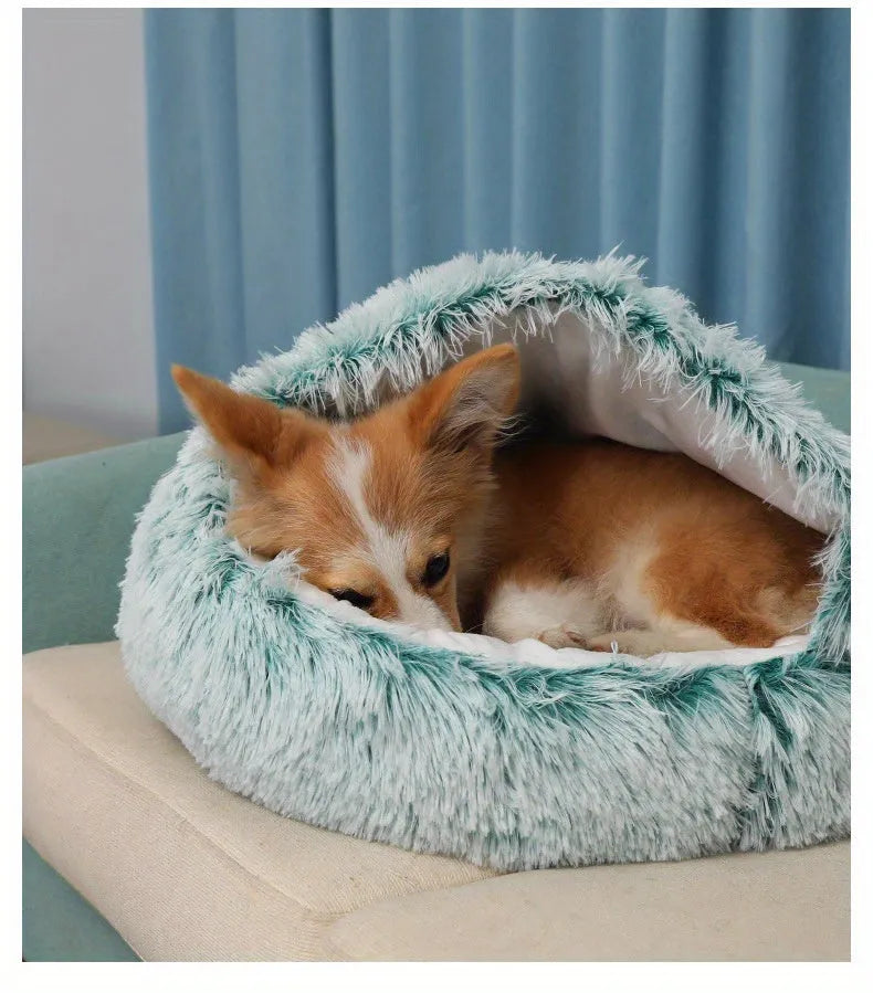 Turquoise Furb Cat Bed being enjoyed by a small dog, highlighting its versatility for pets.
