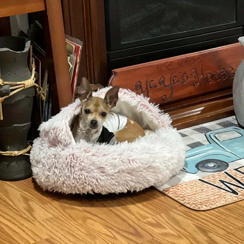 A versatile plush cat bed that also accommodates small dogs, perfect for pets seeking ultimate comfort.