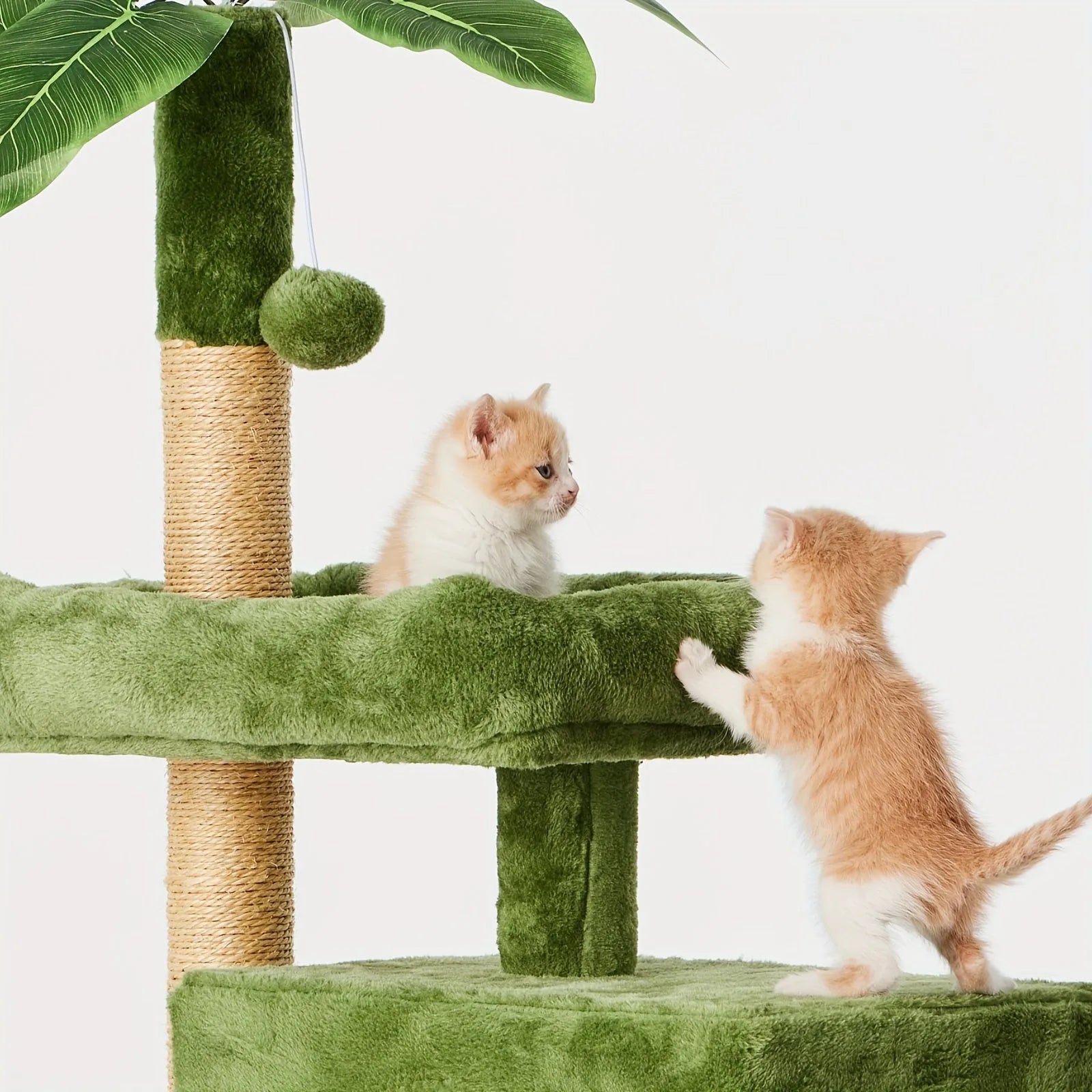 Close-up of kittens playing on the Cat Scratch Tower, exploring levels and scratching posts