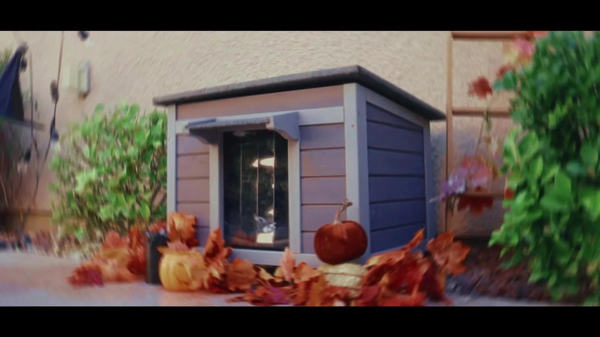 Heated cat house outdoor surrounded by autumn leaves and decorations, providing a cozy shelter.