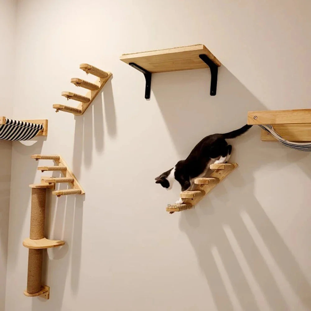 Cat Wall Shelves Diy