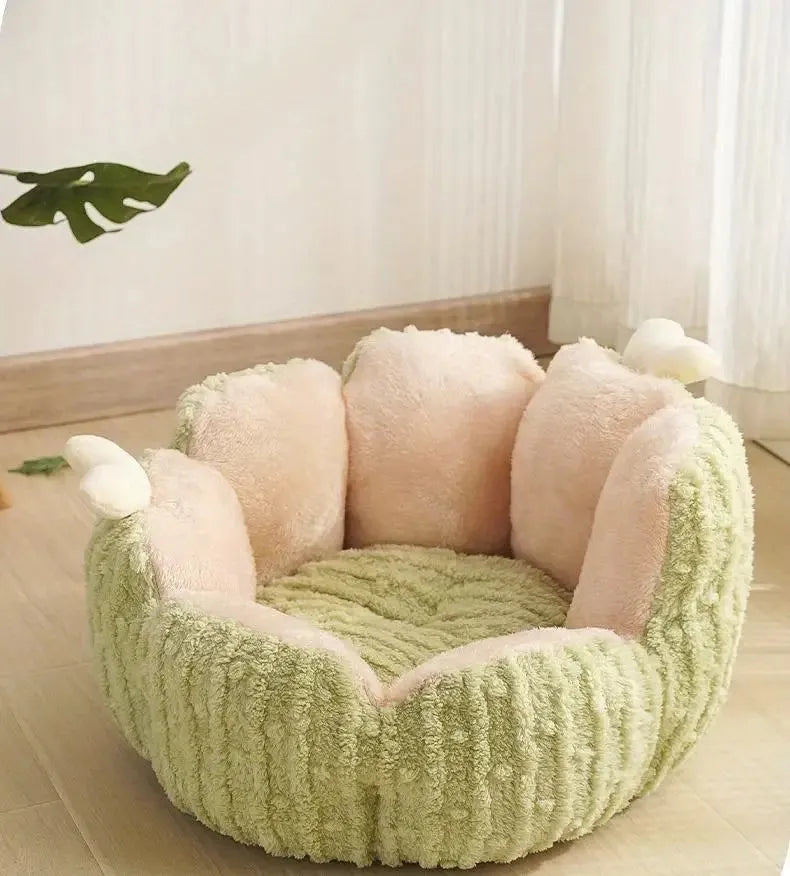 Modern design green and pink cat bed in a minimalist room, ideal bedding for cats with style and comfort