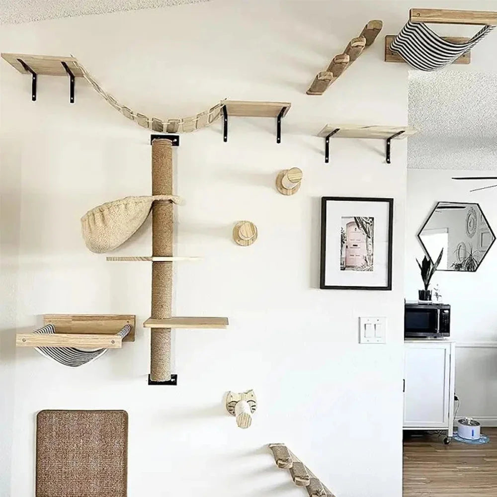 Modern cat wall climbing system with shelves, platforms, and hammocks for active cats.