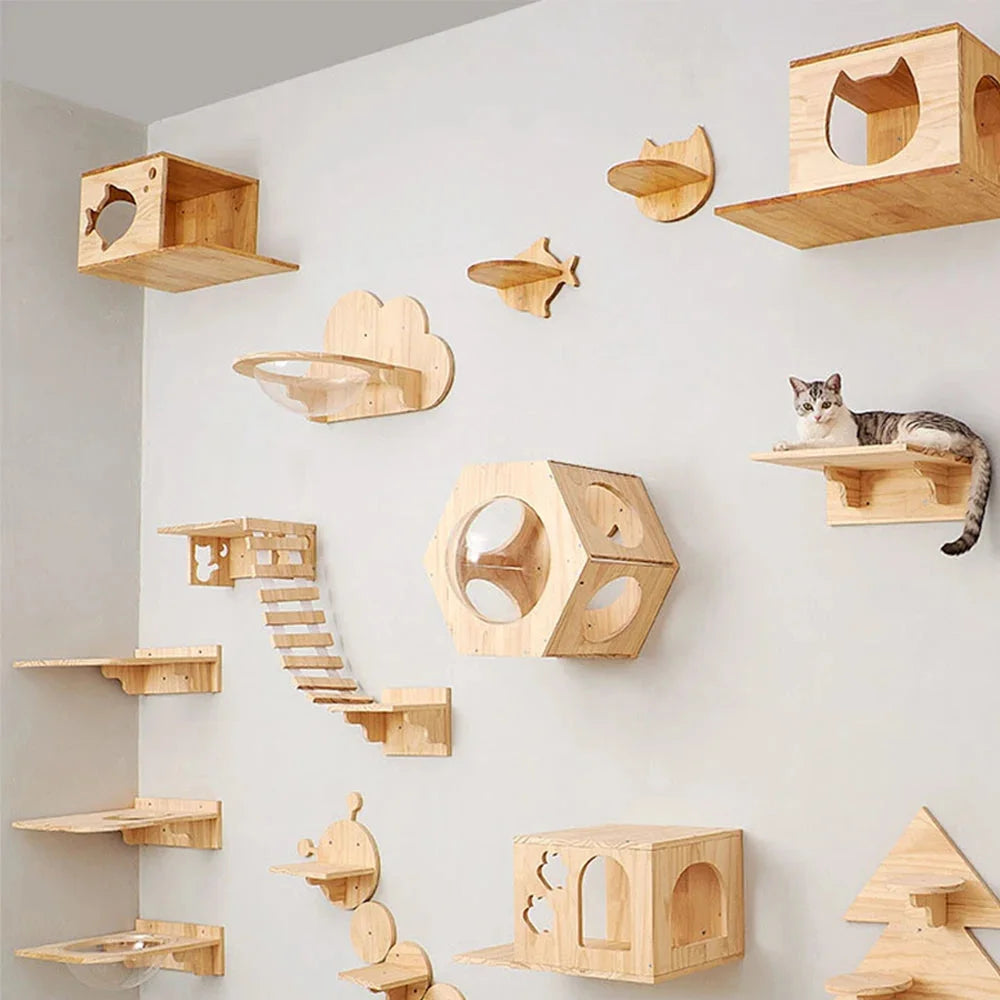 Cat Wall Shelves Diy