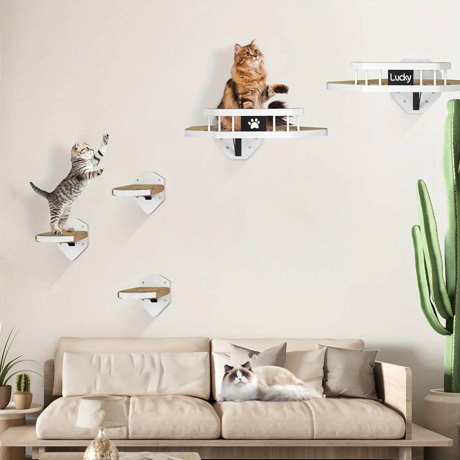 Cat Wall Climbing Systems