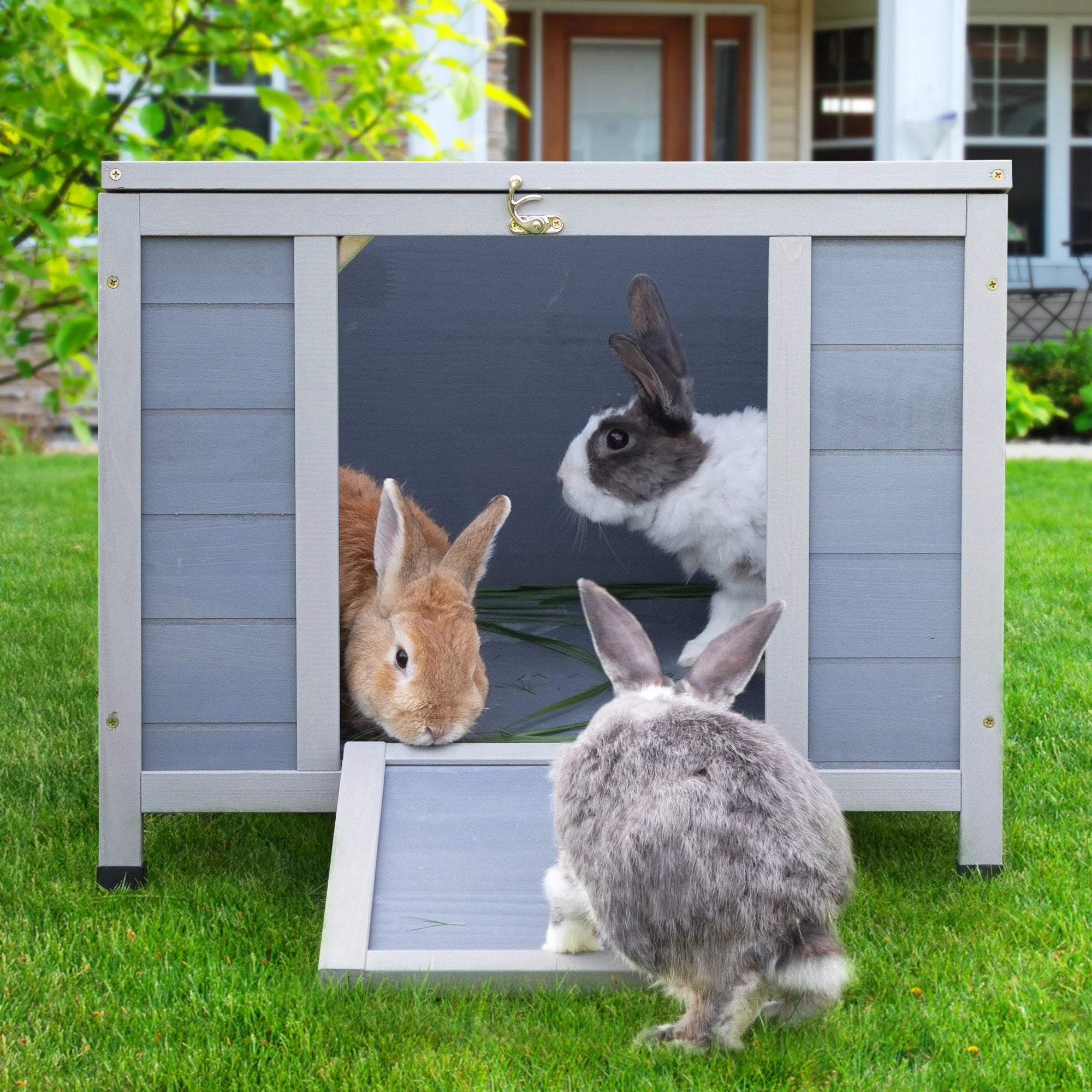 Outdoor insulated cat house placed in a backyard setting with bunnies exploring the area