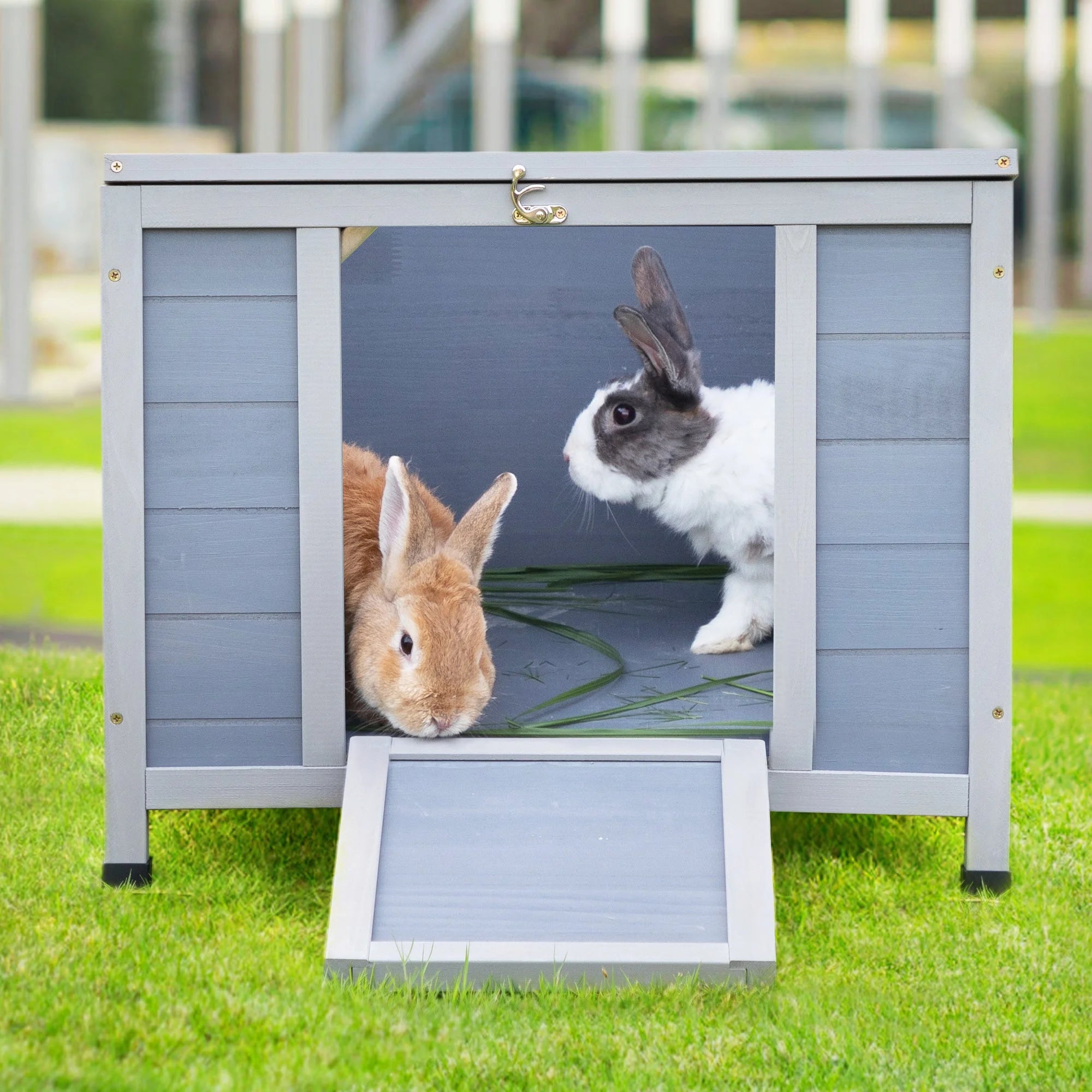 Outdoor insulated cat house with two bunnies inside, showcasing its spacious and cozy interior.