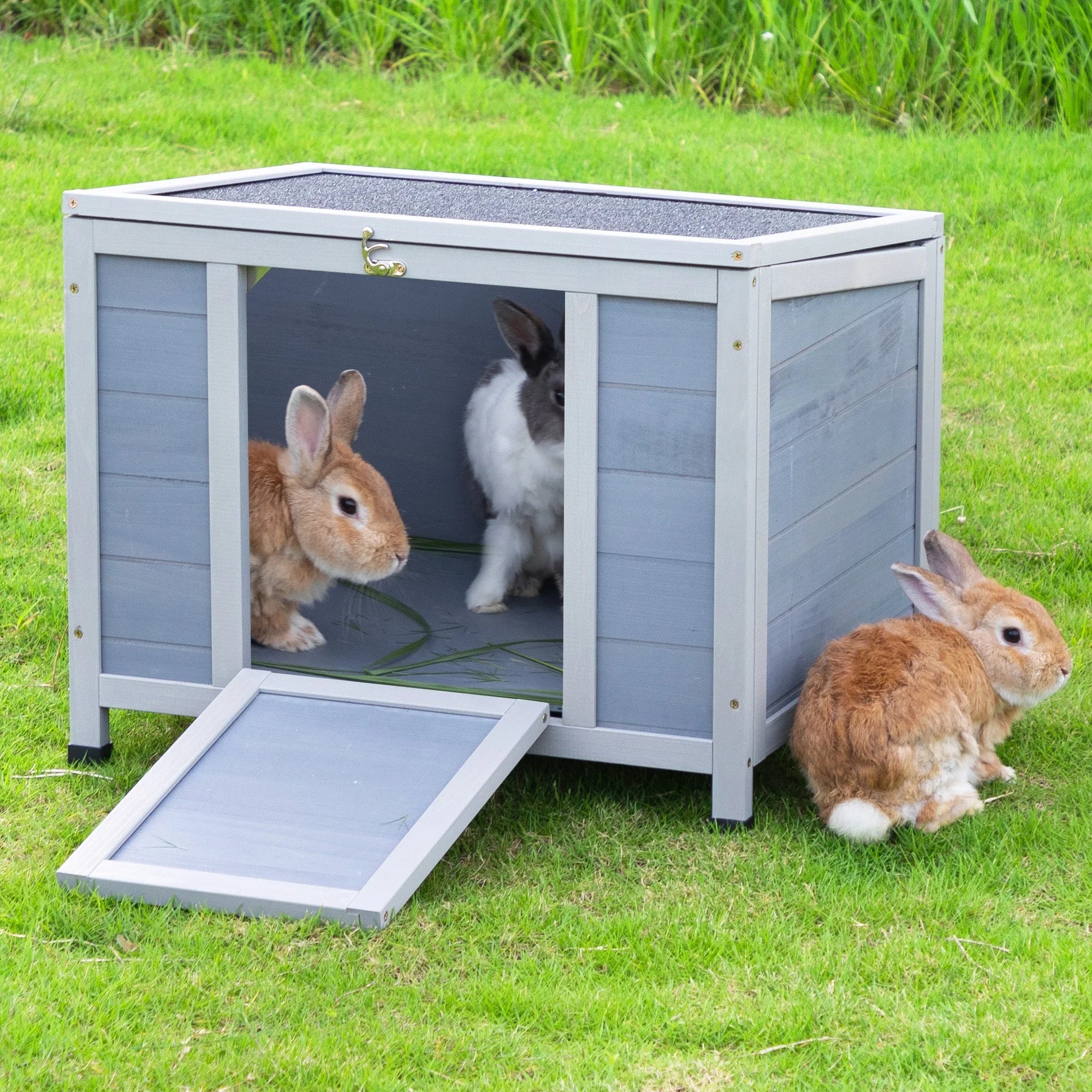 Multiple bunnies entering and exiting the outdoor insulated cat house, perfect for small pets