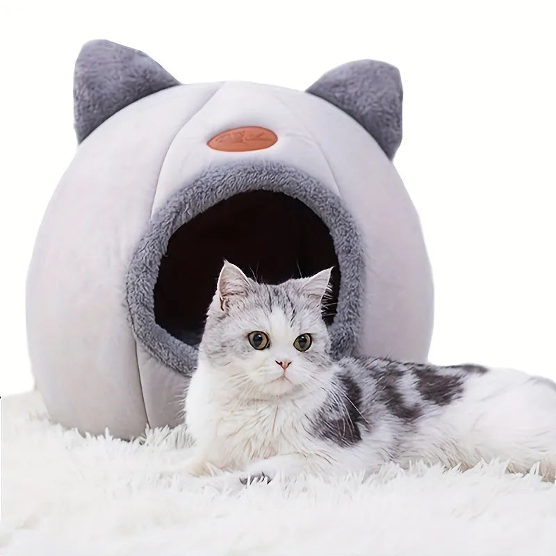 A relaxed gray-and-white cat lounging outside an indoor heated cat bed on a white rug.