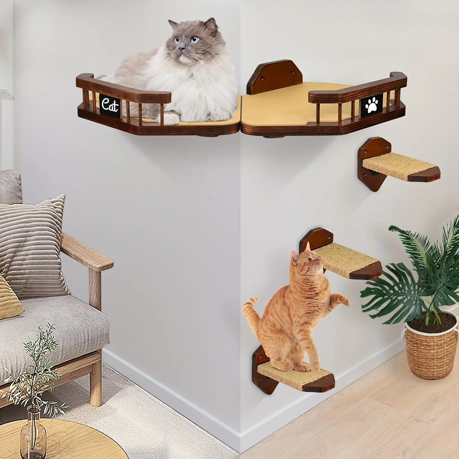 Cat Wall Climbing Systems