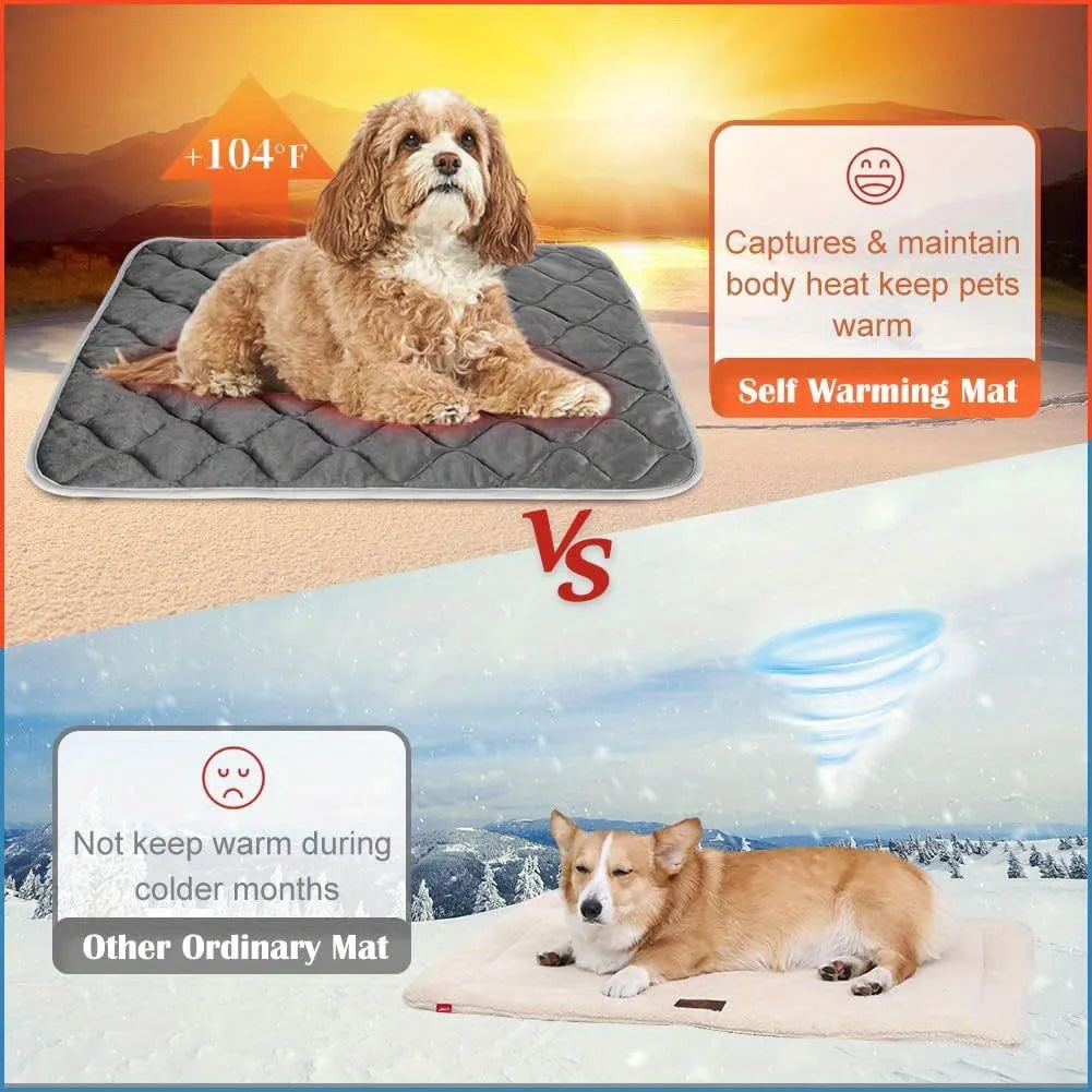 Self-warming cat bed compared to ordinary mats, highlighting heat retention and superior warmth.