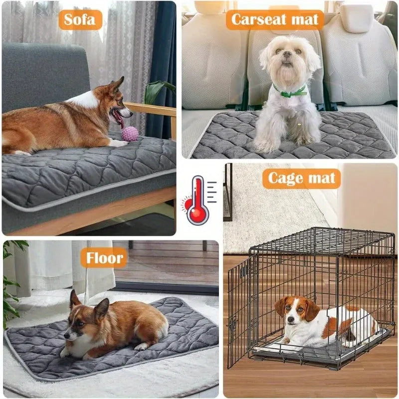 Versatile self-warming cat bed used on sofas, car seats, floors, and cages, providing comfort and warmth.