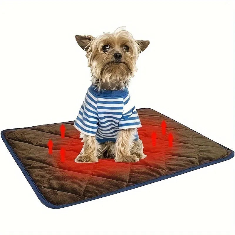 Small dog wearing a striped sweater on a self-warming cat bed, enjoying gentle warmth.
