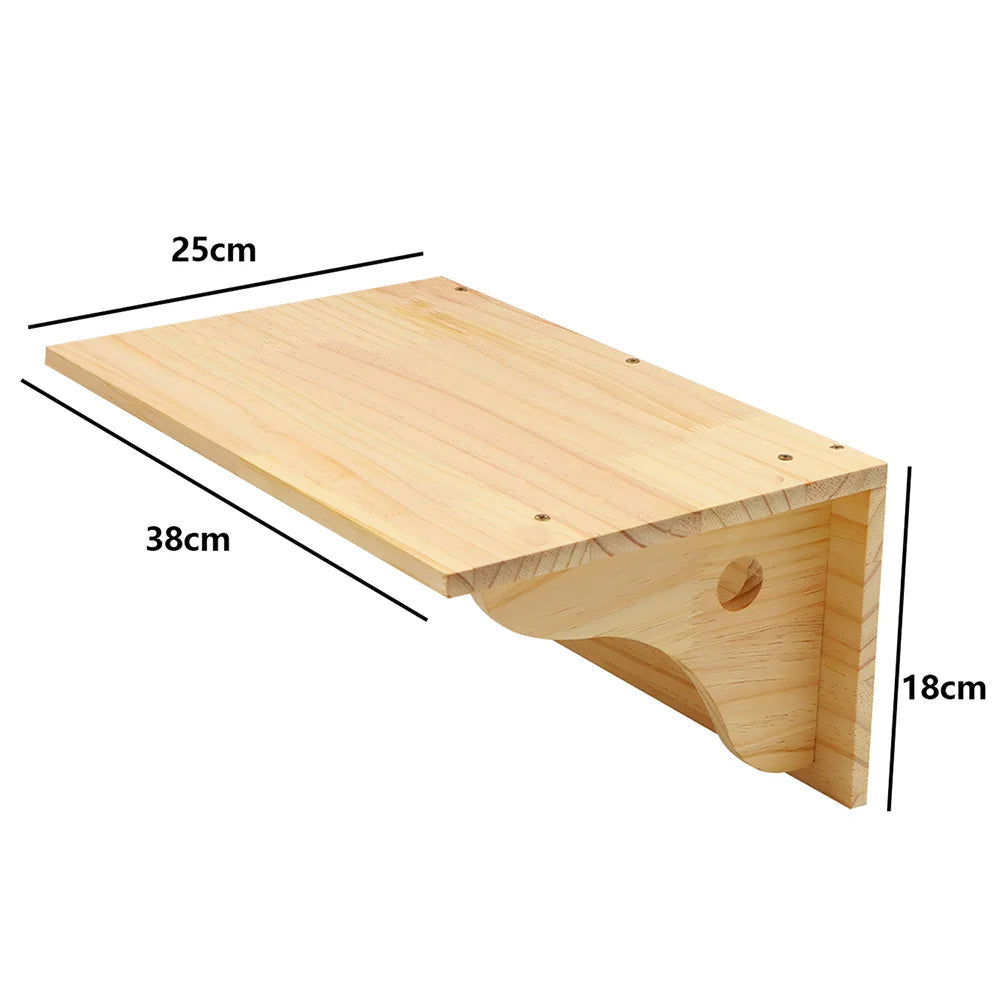 Wall-mounted cat bridge with platforms and dimensions for climbing and exploration.