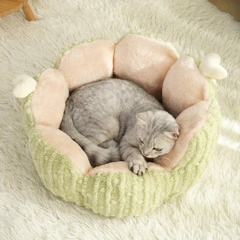 A serene cat sleeping in a cozy green and pink round cat bed, the ultimate bedding for cats