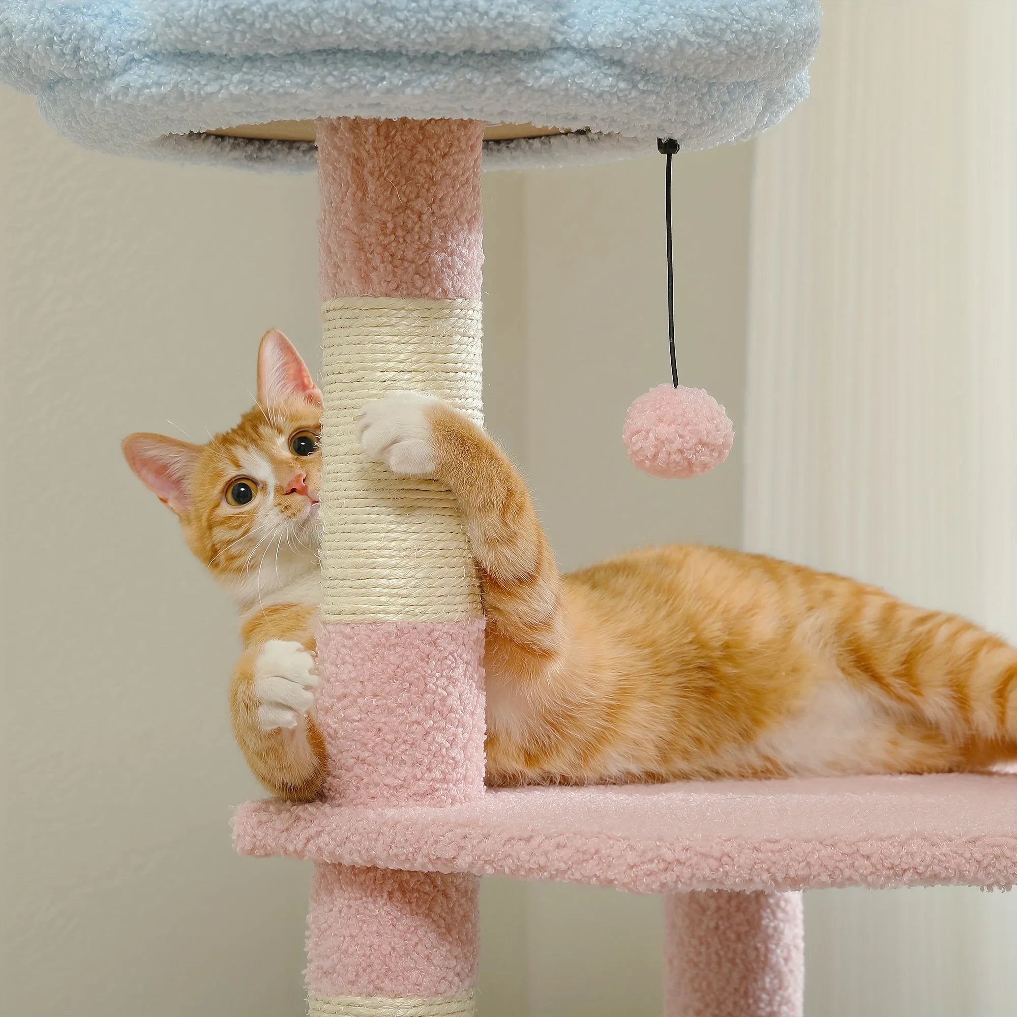 Small cat tree in blue and pink featuring cats playing and lounging on its levels.