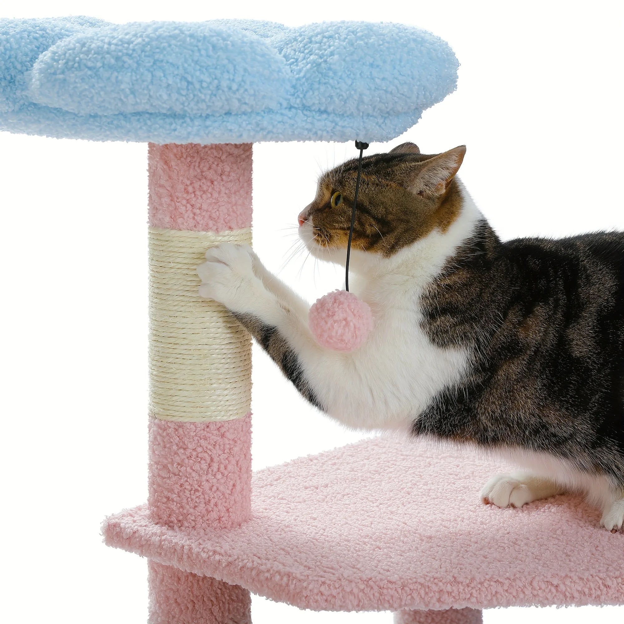 Close-up of a small cat tree showing a cat using the scratching post with a hanging play ball