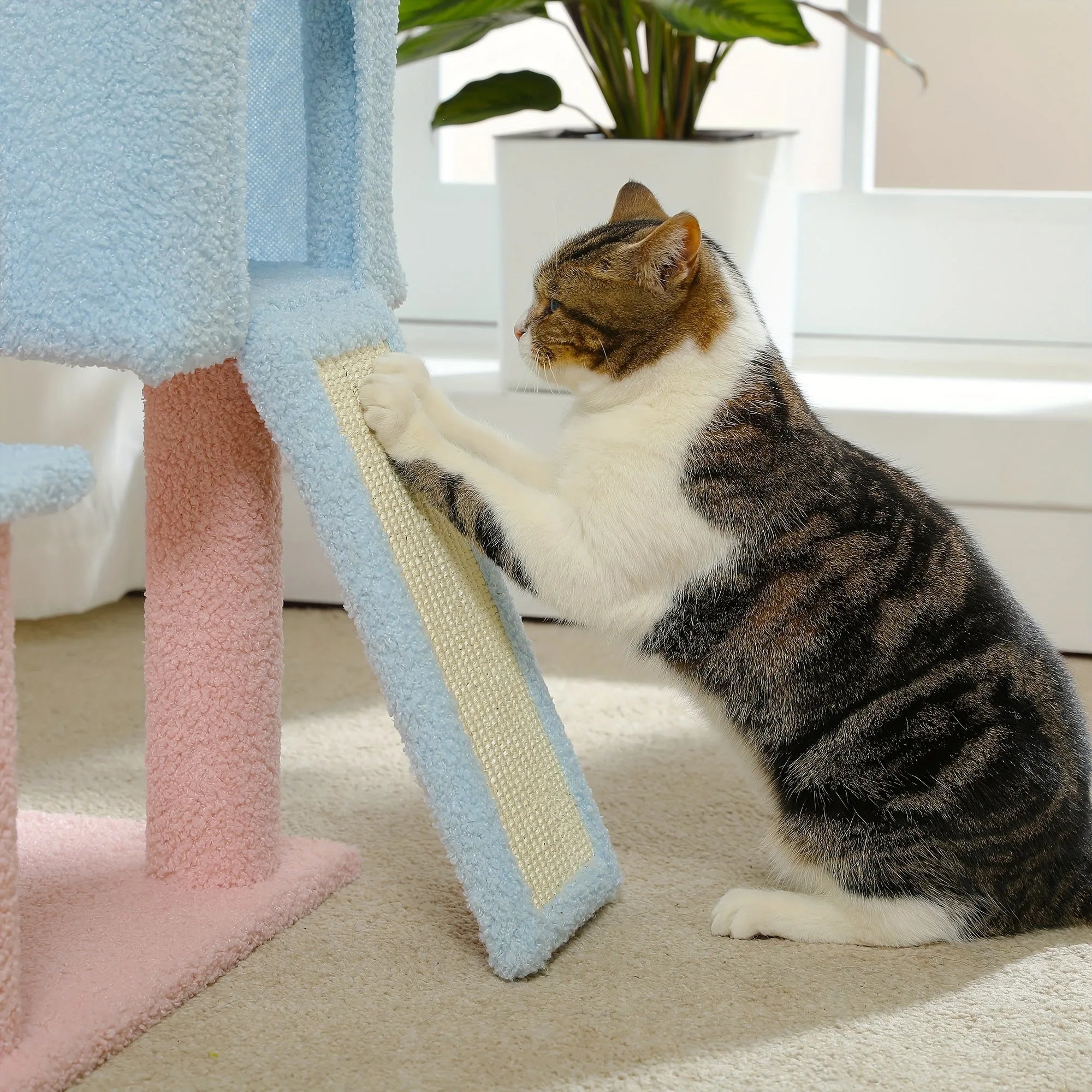 Small cat tree with a scratching ramp and cats enjoying their scratching activity