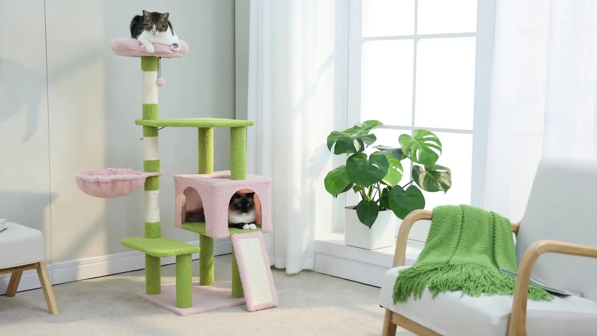 Small cat tree in green and pink placed in a modern living room setting with cats lounging.