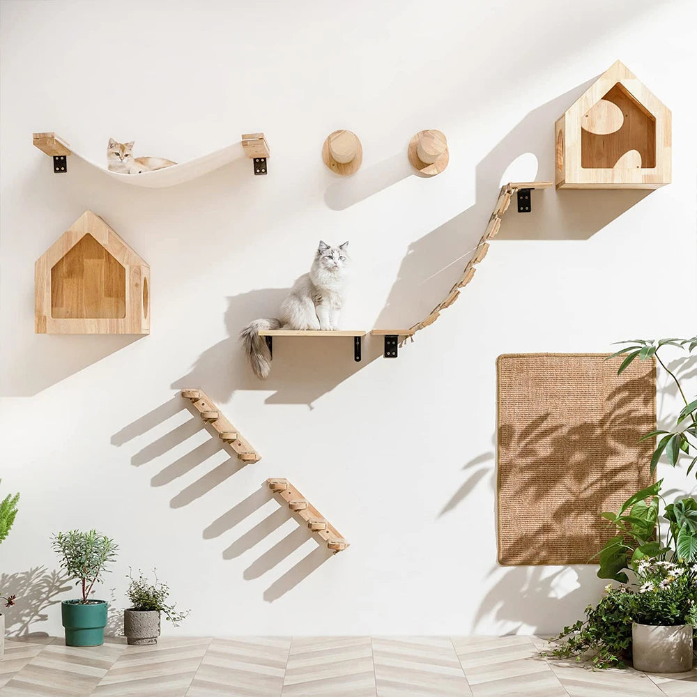 Complete wall climb set for cats featuring steps, hammocks, and a playhouse