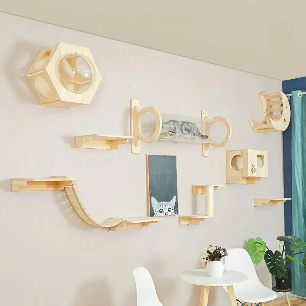 Wall Mounted Cat Furniture