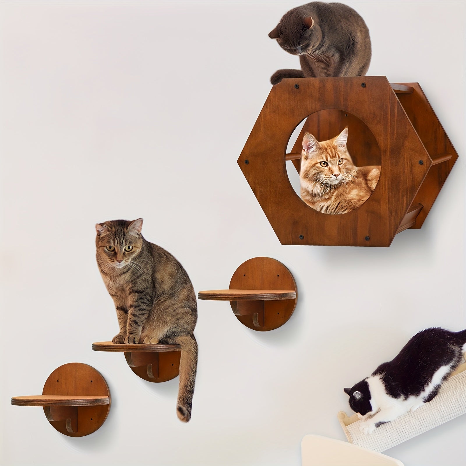 brown hexagonal wall-mounted cat shelves with cats sitting and lounging on steps and a cozy cat enclosure.