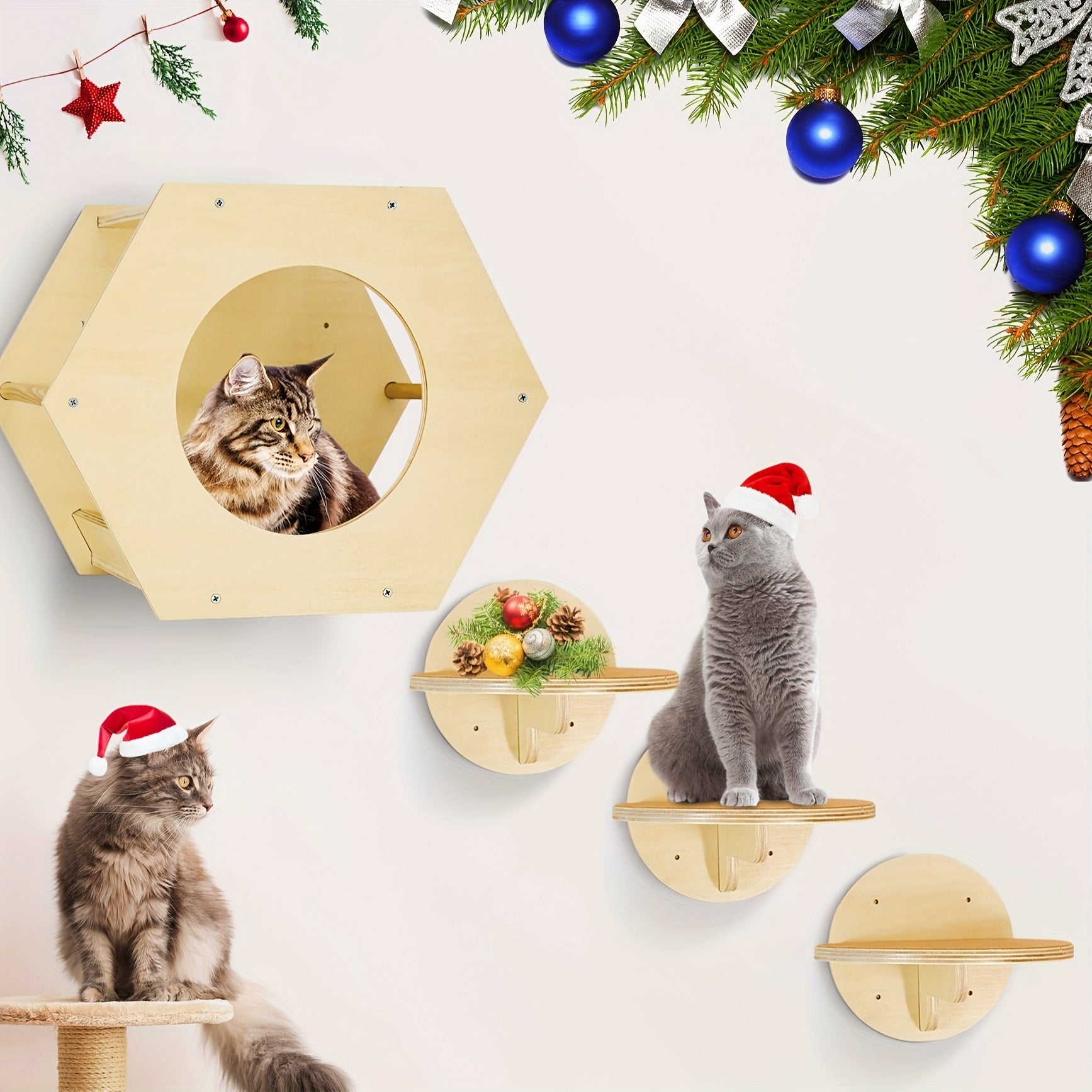 Natural wood wall-mounted cat shelves with a hexagonal enclosure and steps, perfect for playful and lounging cats.